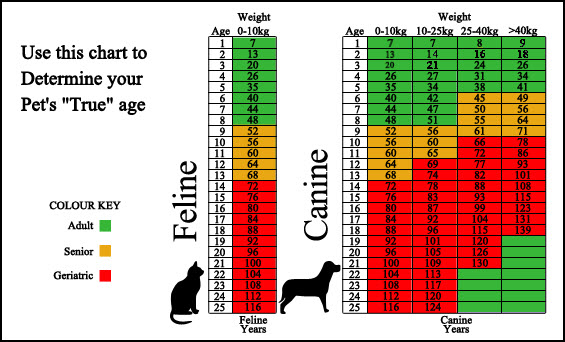 Surveillance Screening Age Chart