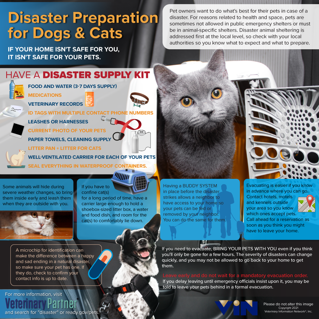 Disaster Prep for Pets