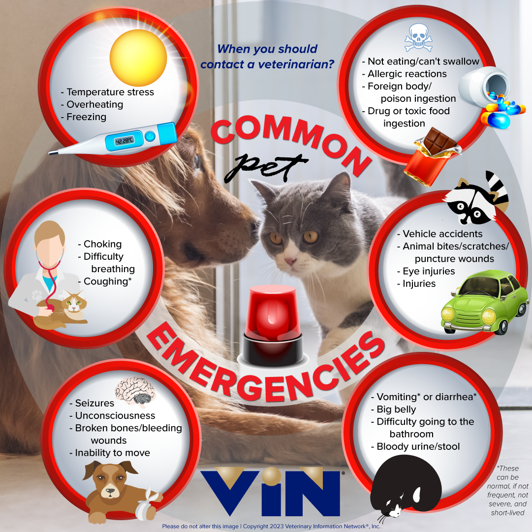 Common Pet Emergencies