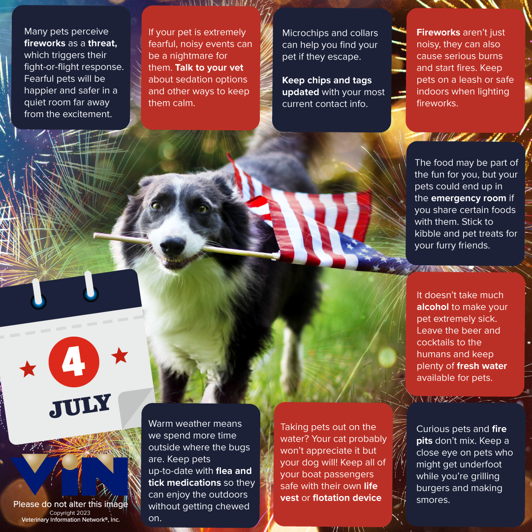 July 4th Safety Infographic