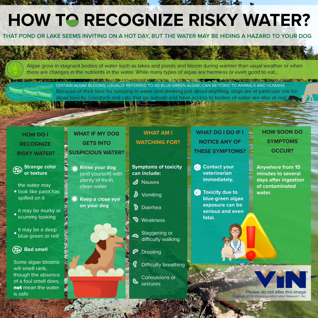 Risky Water