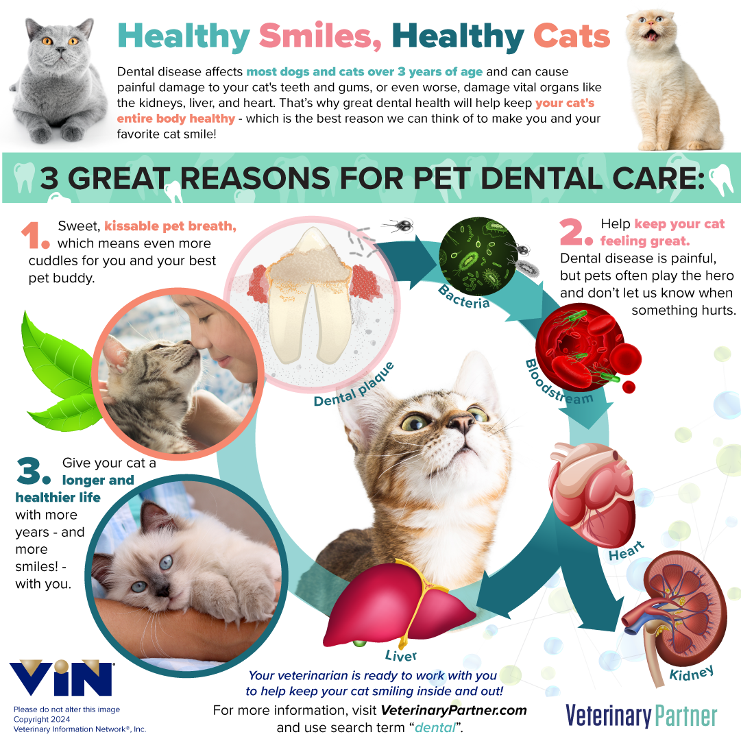 Dental Infographic