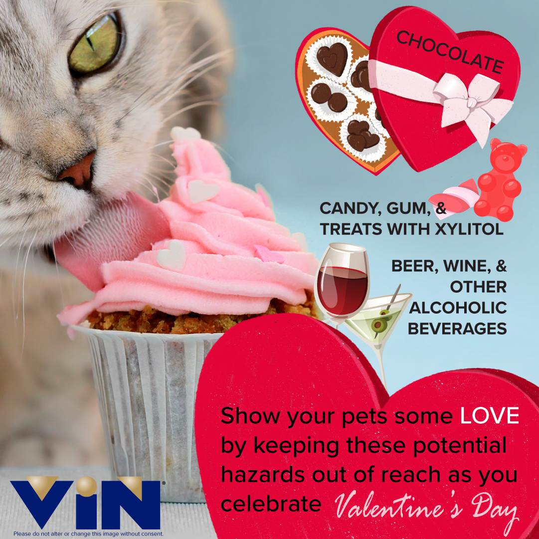 Valentines Day Infographic