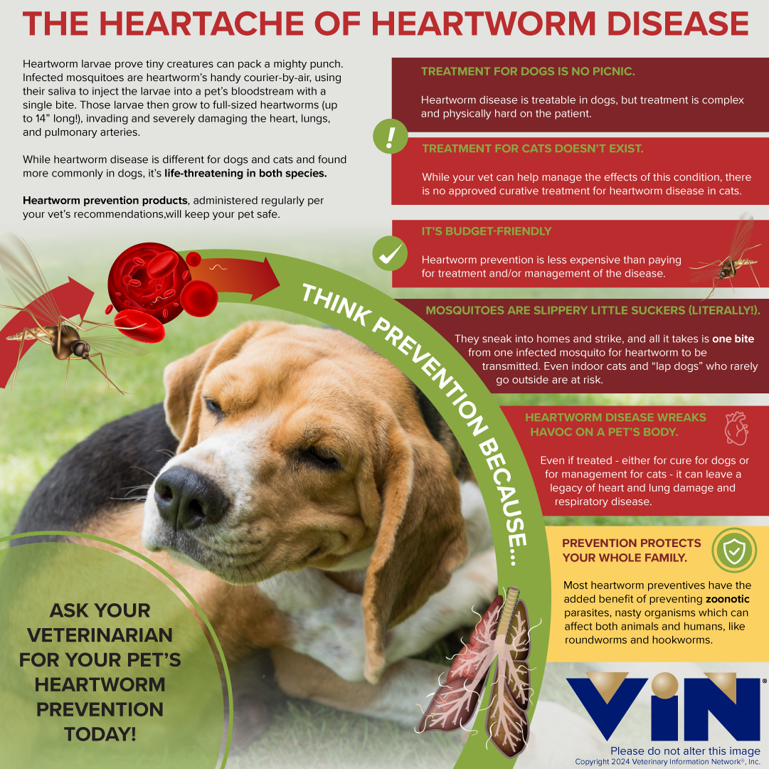 Heartworm Disease