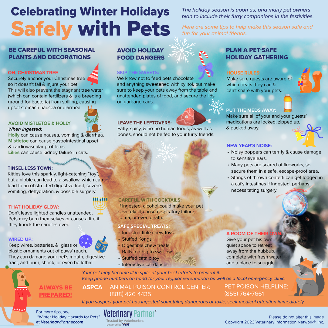 Holiday Infographic